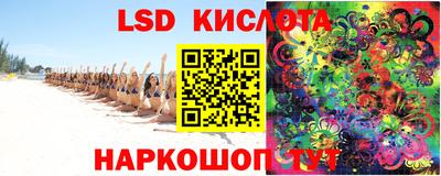 шишки Камышлов