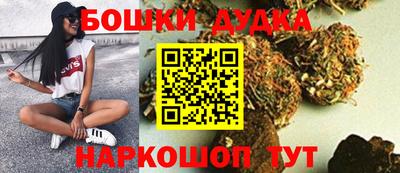 шишки Камышлов