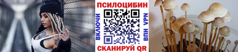 мега ссылки  даркнет как зайти  Галлюциногенные грибы Psilocybe  Мирный 