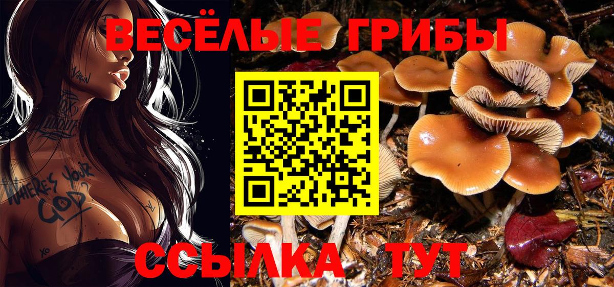 Мирный  Галлюциногенные грибы GOLDEN TEACHER  Вход с VPN 